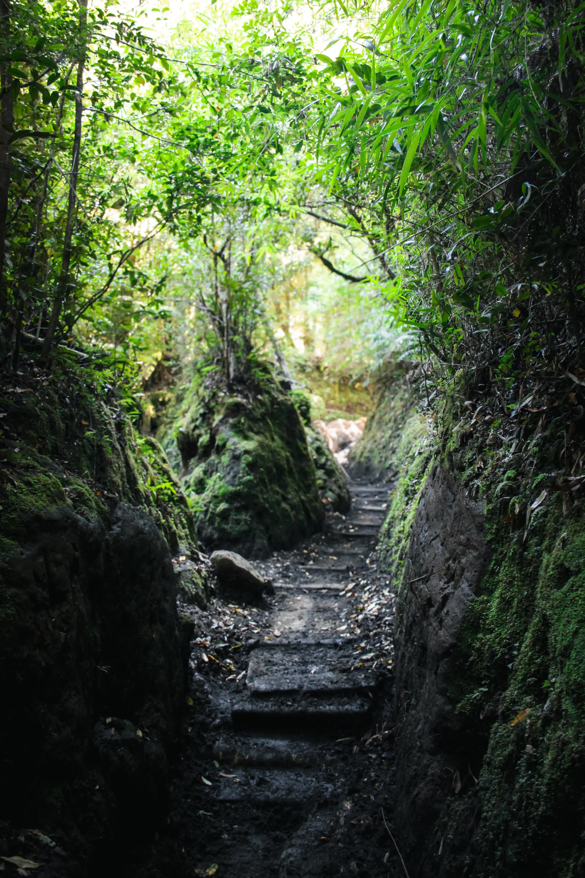 chili-cochamo-chemin