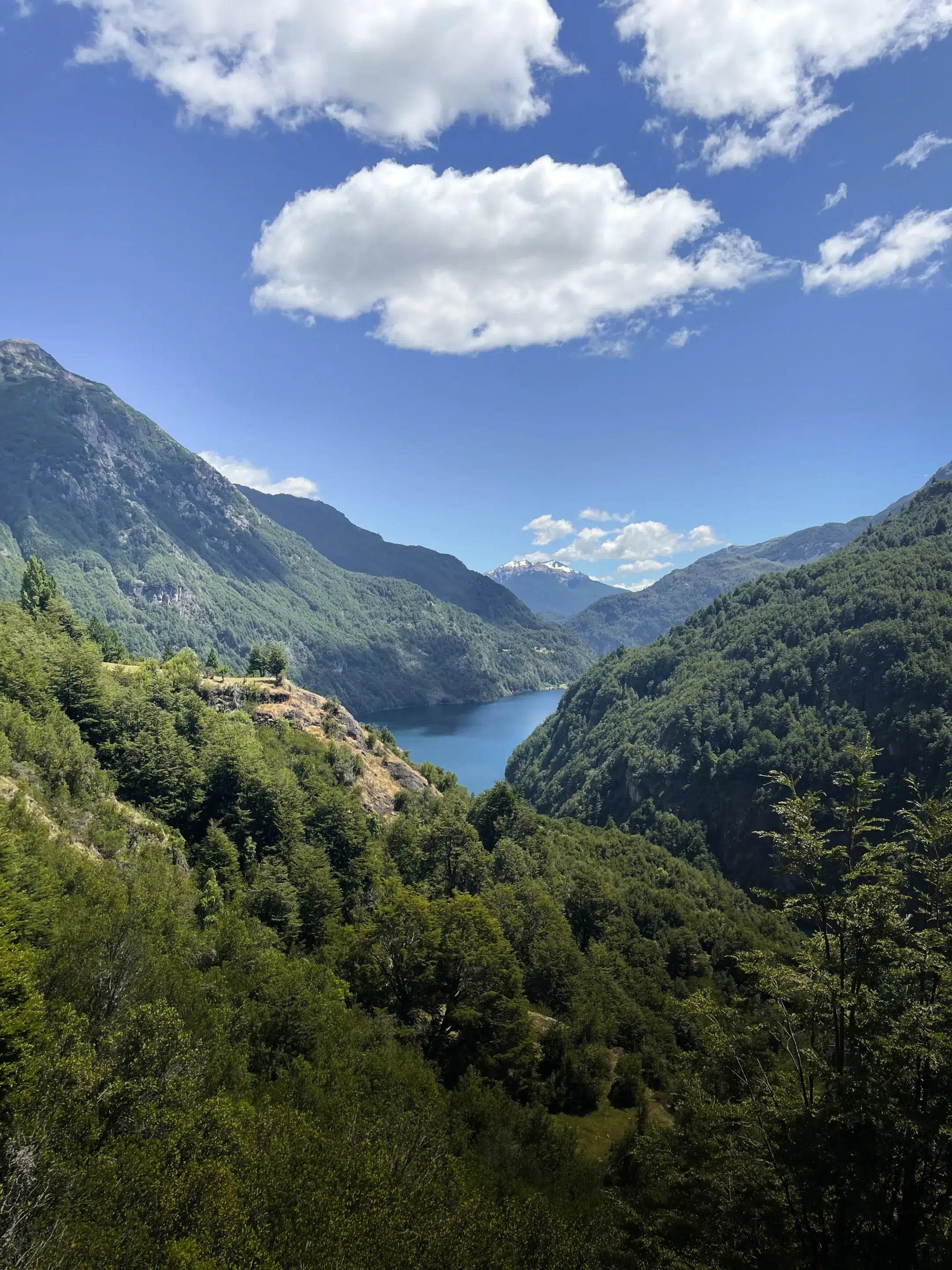 chili-futaleufu-lac-las-rosas-vue